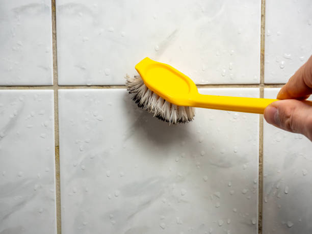 Professional Mold Removal in Lake Waccamaw, NC