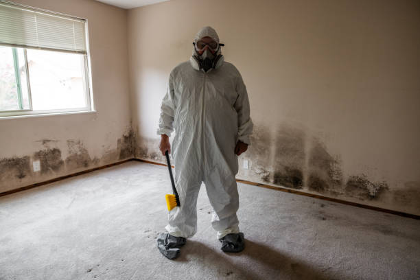 Best Mold Damage Repair  in Lake Waccamaw, NC