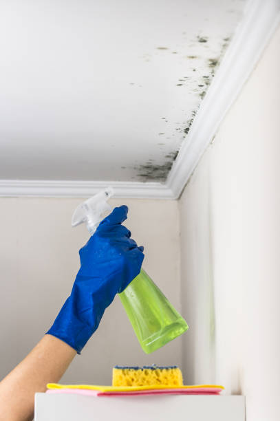 Best Residential Mold Removal  in Lake Waccamaw, NC